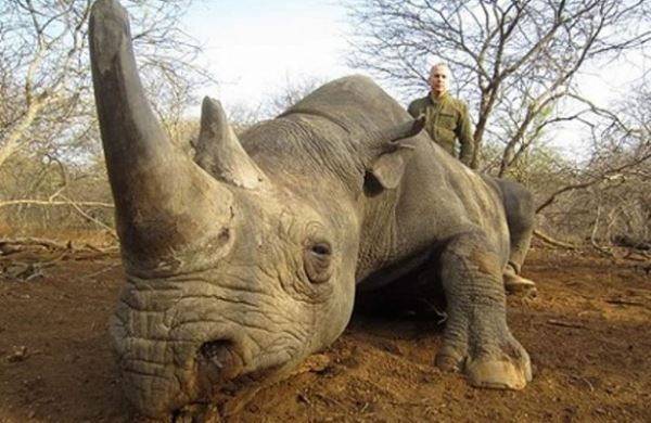 <br />
Депутат Рады попозировал с убитыми носорогом, гиеной и редкой антилопой<br />
