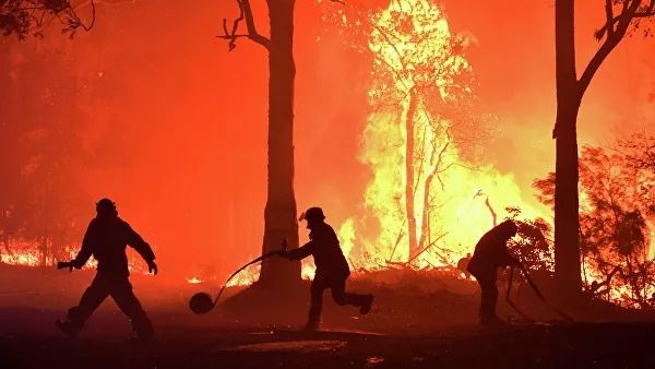 <br />
Дым от австралийских пожаров достиг Новой Зеландии<br />
